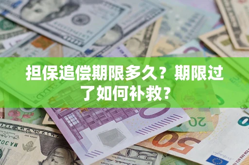济南担保追偿期限多久？期限过了如何补救？