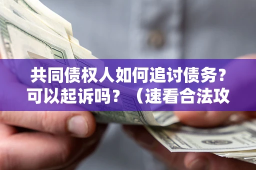 济南共同债权人如何追讨债务？可以起诉吗？（速看合法攻略）